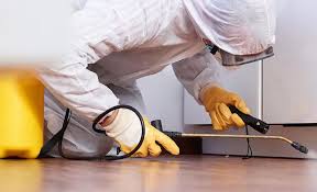 Best Pest Control for Multi-Family Homes  in Artesia, NM